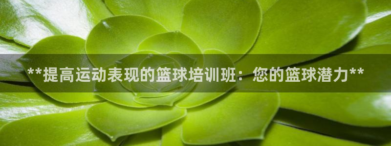 焦点娱乐门徒娱乐骗局：**提高运动表现的篮球培训班：