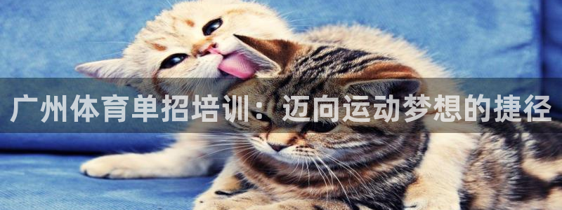 焦点娱乐游戏：广州体育单招培训：迈向运动梦想的捷径