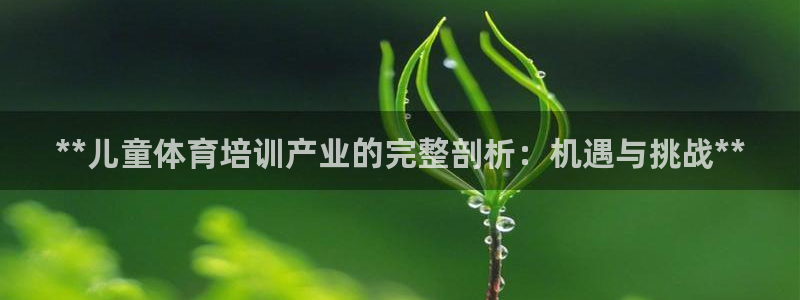 焦点娱乐游戏怎么玩的：**儿童体育培训产业的完整剖析