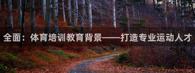 焦点娱乐什么意思：全面：体育培训教育背景——打造专业