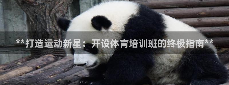 焦点娱乐如何注册账号的：**打造运动新星：开设体育培