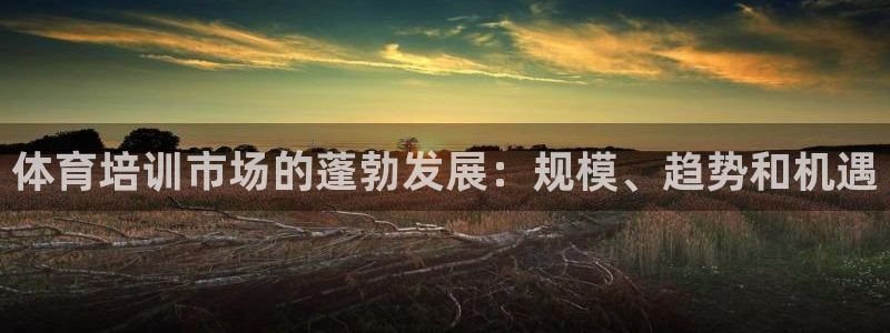 焦点娱乐公司简介