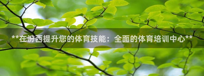 焦点娱乐app下载官网最新版：**在汾西提升您的体育