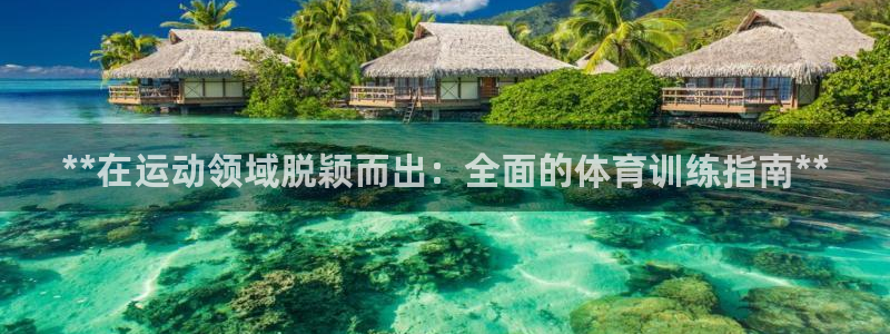焦点娱乐公司：**在运动领域脱颖而出：全面的体育训练
