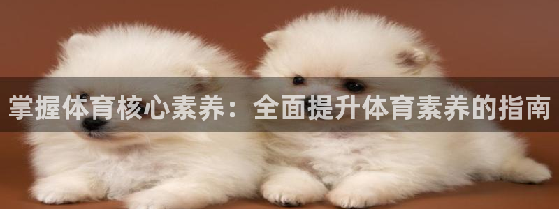 焦点娱乐官网首页入口网址：掌握体育核心素养：全面提升