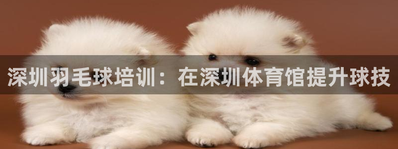 焦点娱乐app下载官网苹果版