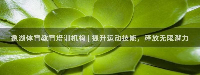 焦点娱乐如何注册账号和密码呢：象湖体育教育培训机构 
