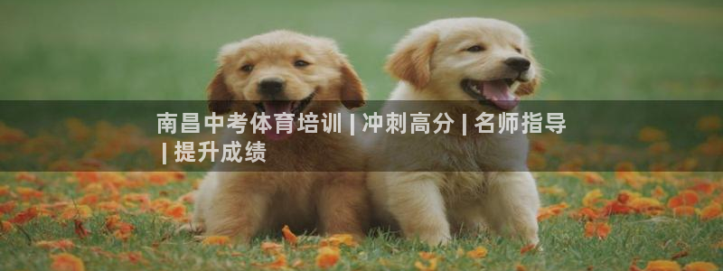 焦点娱乐全国总冠军是谁：南昌中考体育培训 | 冲刺高