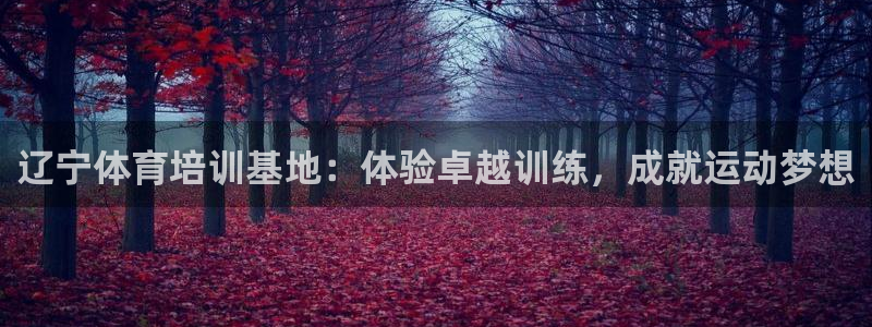焦点娱乐平台例7O777：辽宁体育培训基地：体验卓越