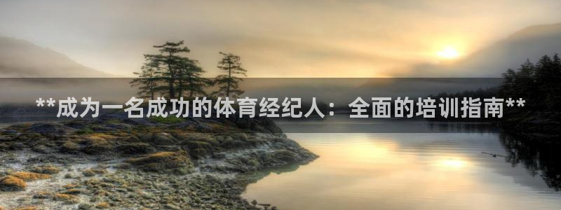 焦点娱乐官网首页：**成为一名成功的体育经纪人：全面