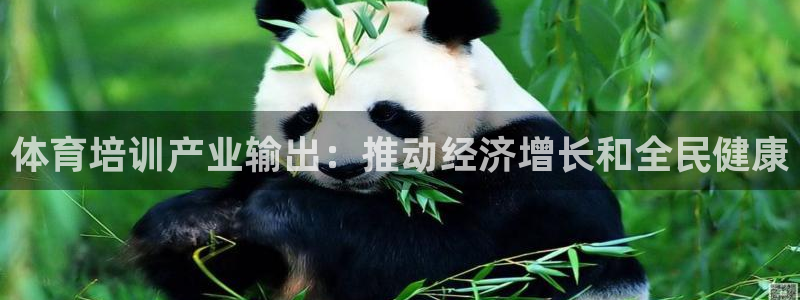 焦点娱乐下载手机版最新版：体育培训产业输出：推动经济
