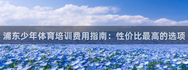 焦点娱乐是哪个公司的品牌：浦东少年体育培训费用指南：