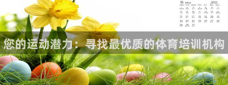 焦点娱乐平台候7O777：您的运动潜力：寻找最优质的