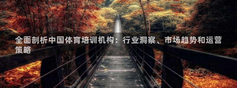 焦点娱乐平台注册账号安全吗：全面剖析中国体育培训机构