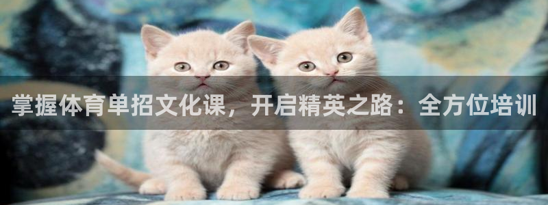 焦点娱乐平台底7O777：掌握体育单招文化课，开启精