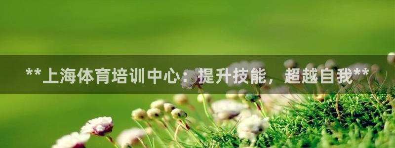 焦点娱乐是什么：**上海体育培训中心：提升技能，超越