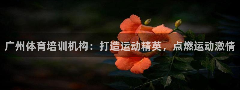 焦点娱乐官方网站入口在线观看视频：广州体育培训机构：