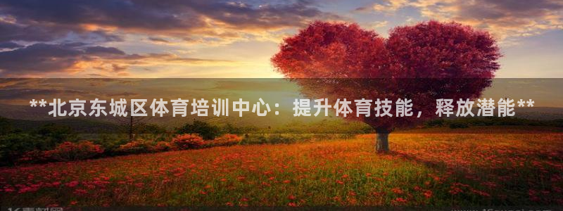 焦点娱乐传媒：**北京东城区体育培训中心：提升体育技