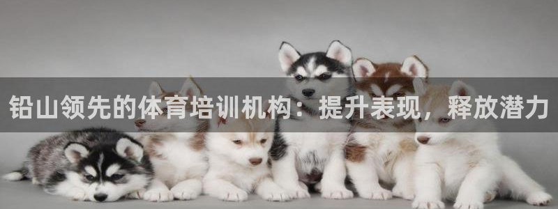 焦点娱乐app下载：铅山领先的体育培训机构：提升表现