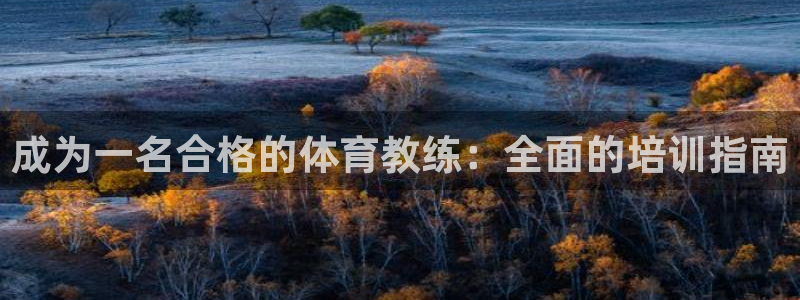 焦点娱乐官方网站首页下载安装：成为一名合格的体育教练