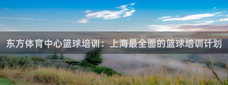 焦点娱乐vs皇族不败神话下载：东方体育中心篮球培训：