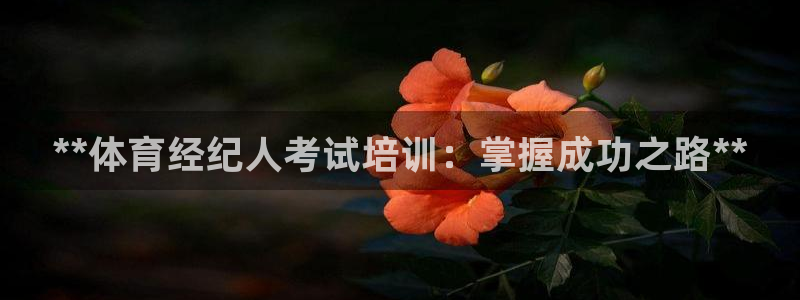 焦点娱乐传媒有限公司怎么样知乎招聘：**体育经纪人考