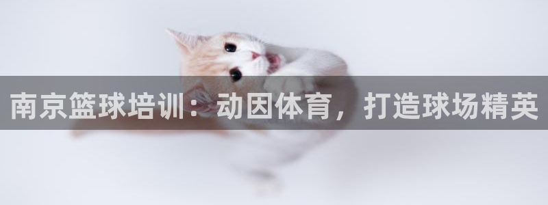 焦点娱乐平台玩法官方导师：南京篮球培训：动因体育，打