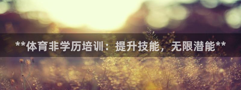 焦点娱乐游戏怎么玩教程：**体育非学历培训：提升技能