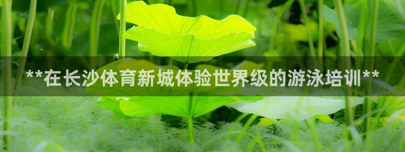 焦点娱乐星的视频：**在长沙体育新城体验世界级的游泳