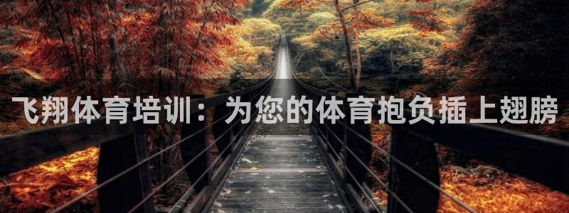焦点娱乐游戏怎么玩的：飞翔体育培训：为您的体育抱负插