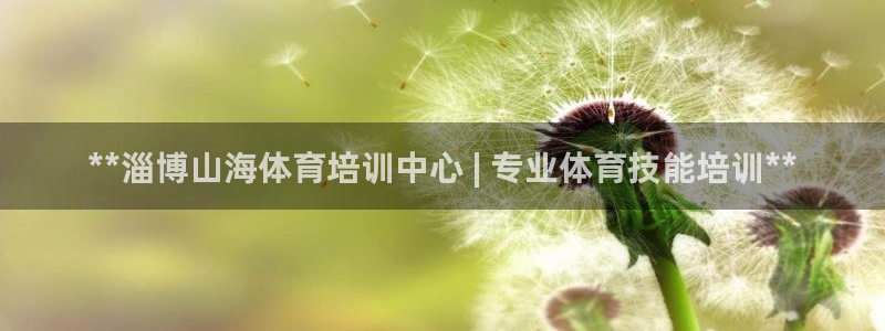 焦点娱乐怎么找导师：**淄博山海体育培训中心 | 专