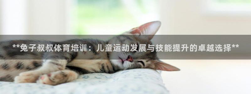 焦点娱乐公司的发展历程简述：**兔子叔叔体育培训：儿