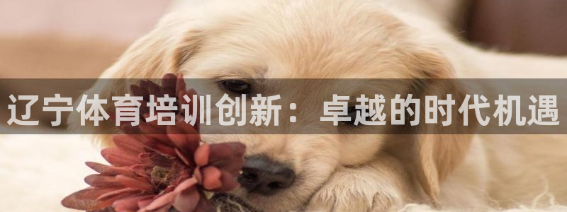 焦点娱乐公司是干嘛的：辽宁体育培训创新：卓越的时代机