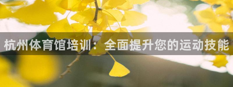 焦点娱乐全国总冠军是谁：杭州体育馆培训：全面提升您的