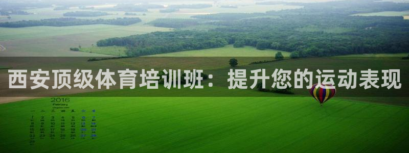 焦点娱乐拉菲11月12日