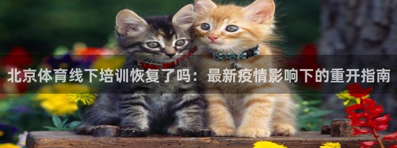 焦点娱乐拉菲11月12日：北京体育线下培训恢复了吗：