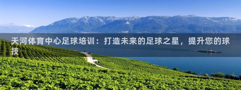 焦点娱乐会所：天河体育中心足球培训：打造未来的足球之