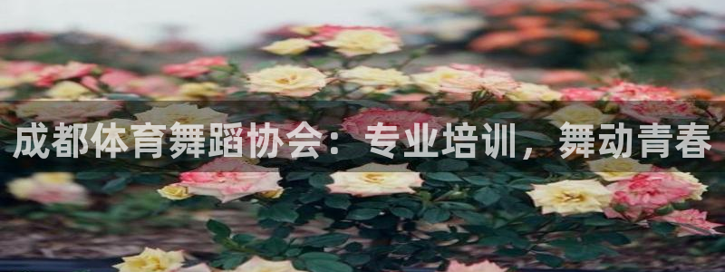 焦点娱乐开发：成都体育舞蹈协会：专业培训，舞动青春