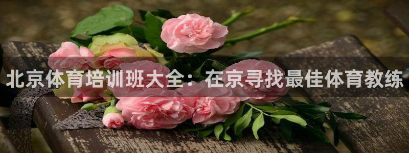焦点娱乐无法提现到微信：北京体育培训班大全：在京寻找