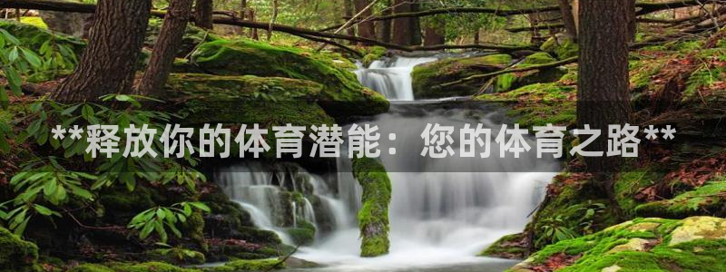 焦点娱乐官网下载苹果手机版：**释放你的体育潜能：您