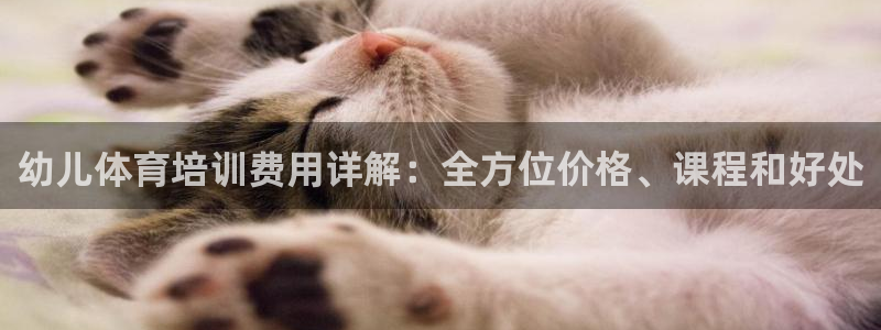 焦点娱乐有限公司招聘：幼儿体育培训费用详解：全方位价