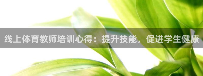 焦点娱乐官方网站入口在线观看下载：线上体育教师培训心