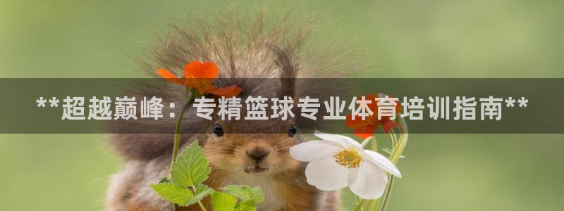焦点娱乐官方网站入口在线观看视频：**超越巅峰：专精