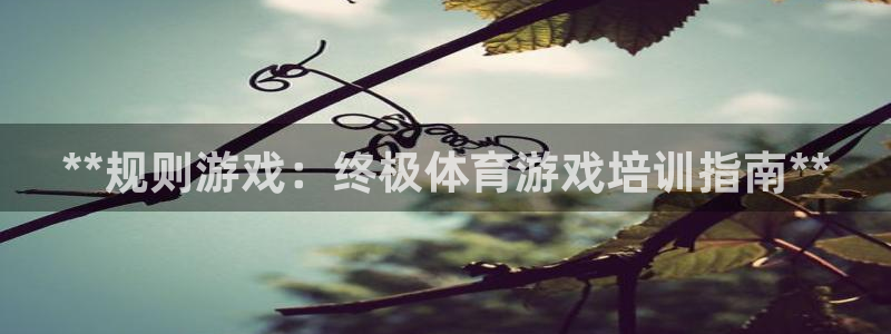 焦点娱乐公司简介资料：**规则游戏：终极体育游戏培训