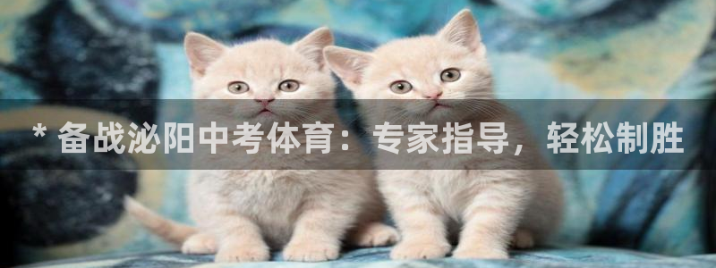 焦点娱乐挂机版下载：* 备战泌阳中考体育：专家指导，