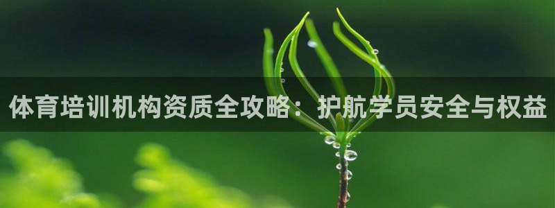 焦点娱乐软件版本：体育培训机构资质全攻略：护航学员安