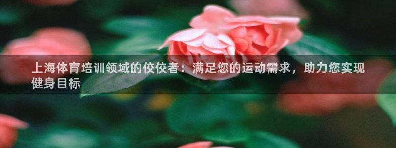 焦点娱乐软件版本大全：上海体育培训领域的佼佼者：满足