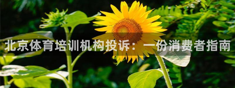 焦点娱乐官方网站入口：北京体育培训机构投诉：一份消费