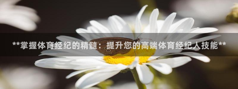 焦点娱乐是哪个公司的产品：**掌握体育经纪的精髓：提