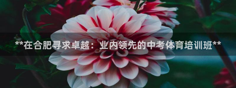 焦点娱乐星的视频：**在合肥寻求卓越：业内领先的中考